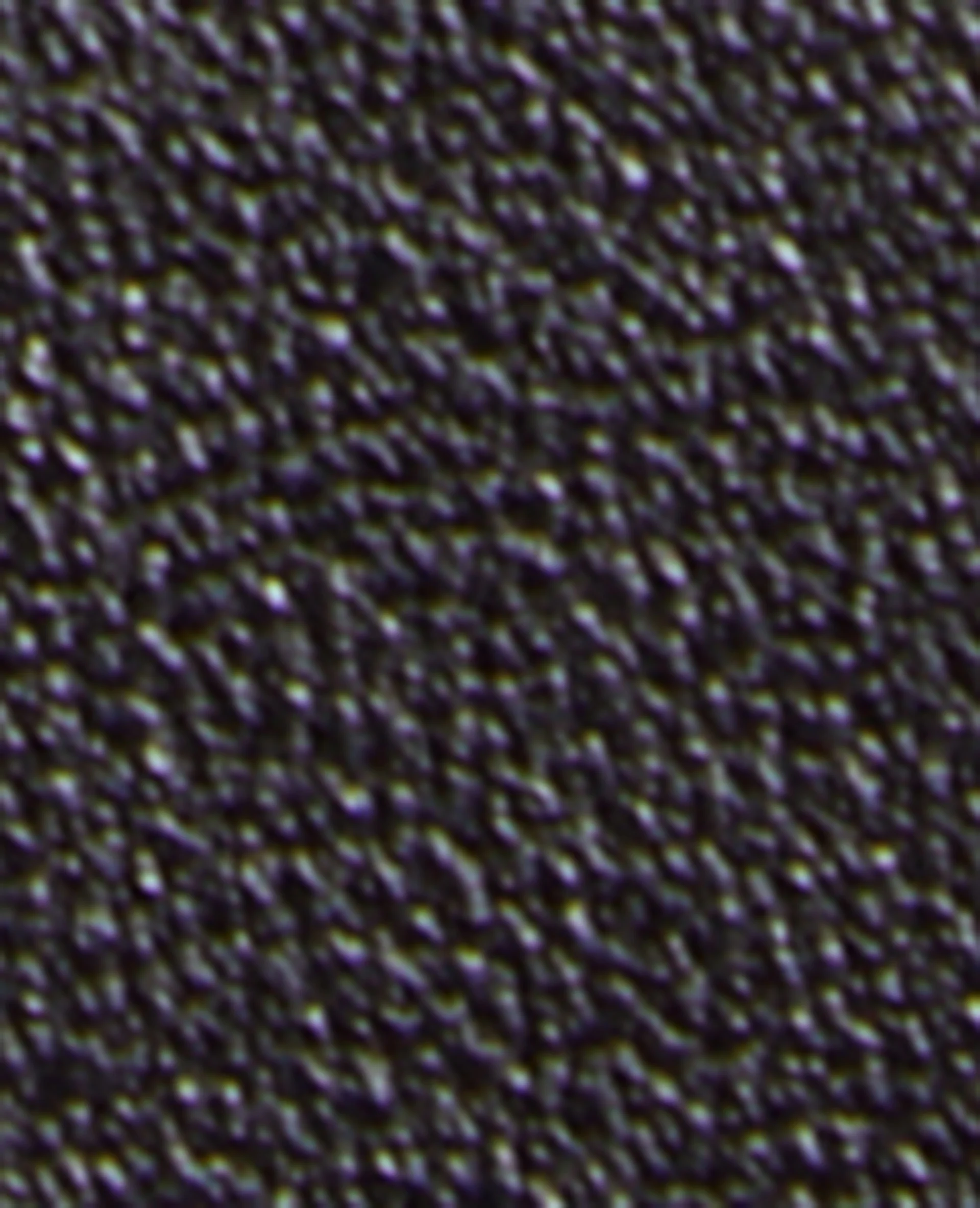 Ceinture boucle ovale - Image 5