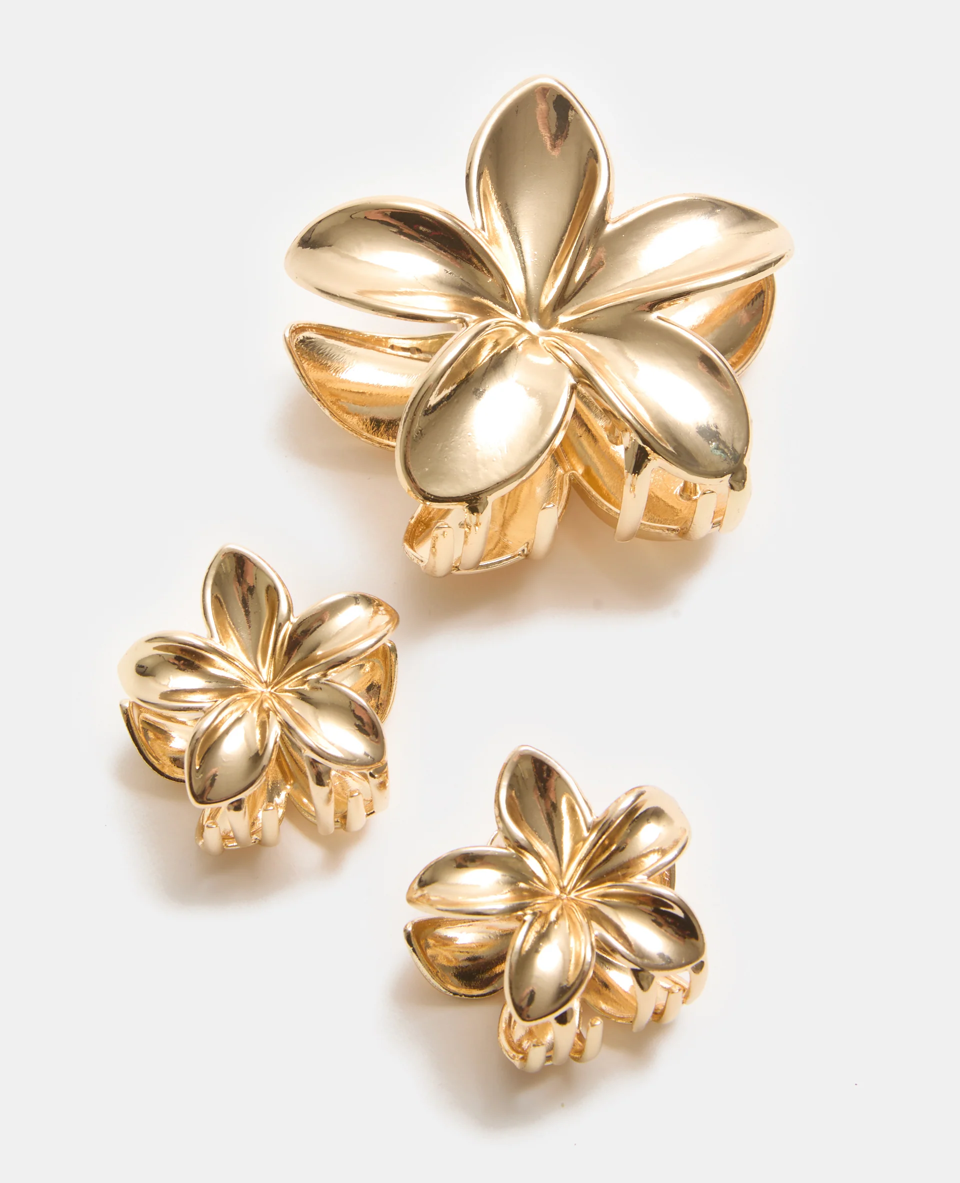 Lot de 3 pinces Fleur de tiaré