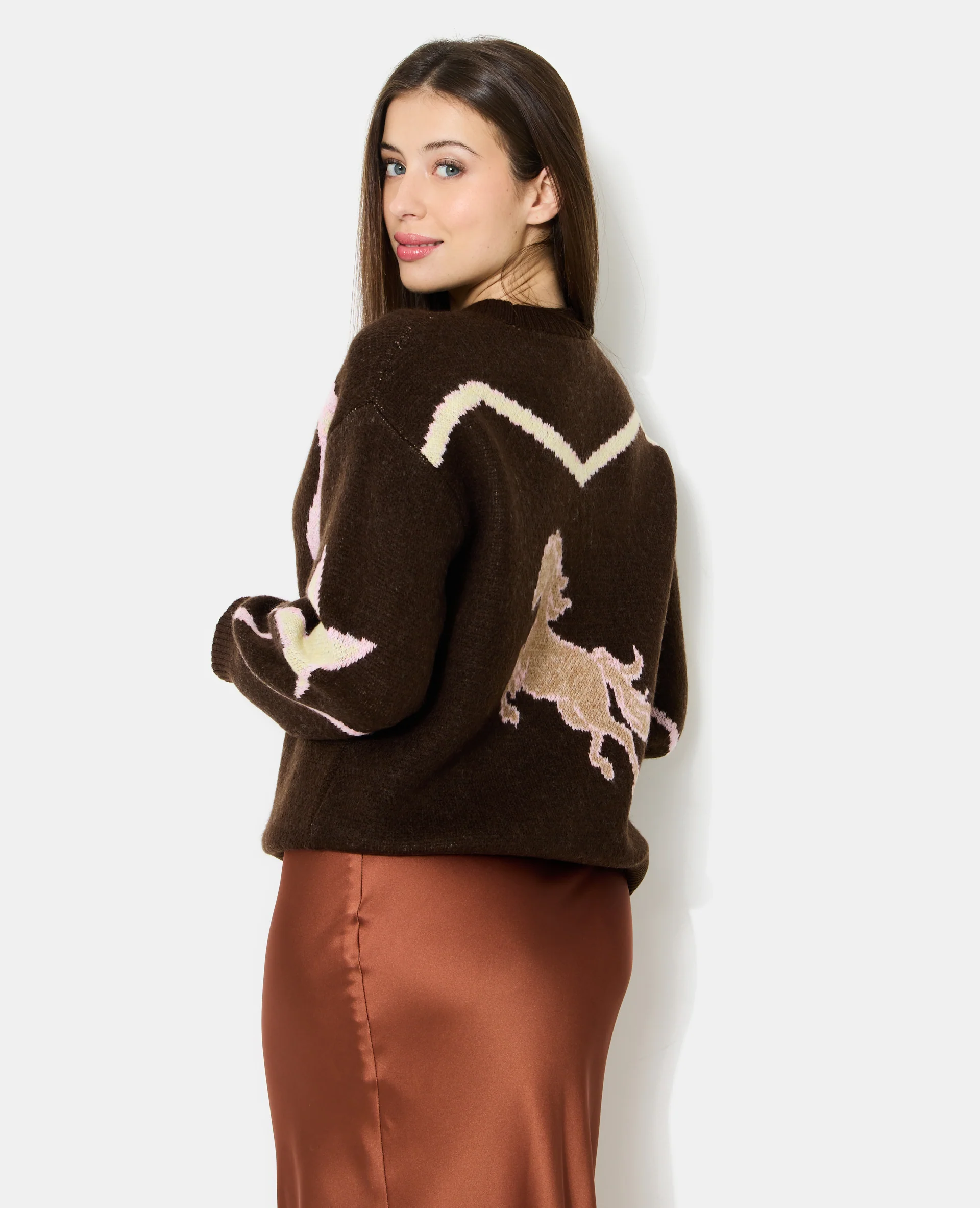 Pull col rond avec motifs fer Ă cheval, santiag, cheval