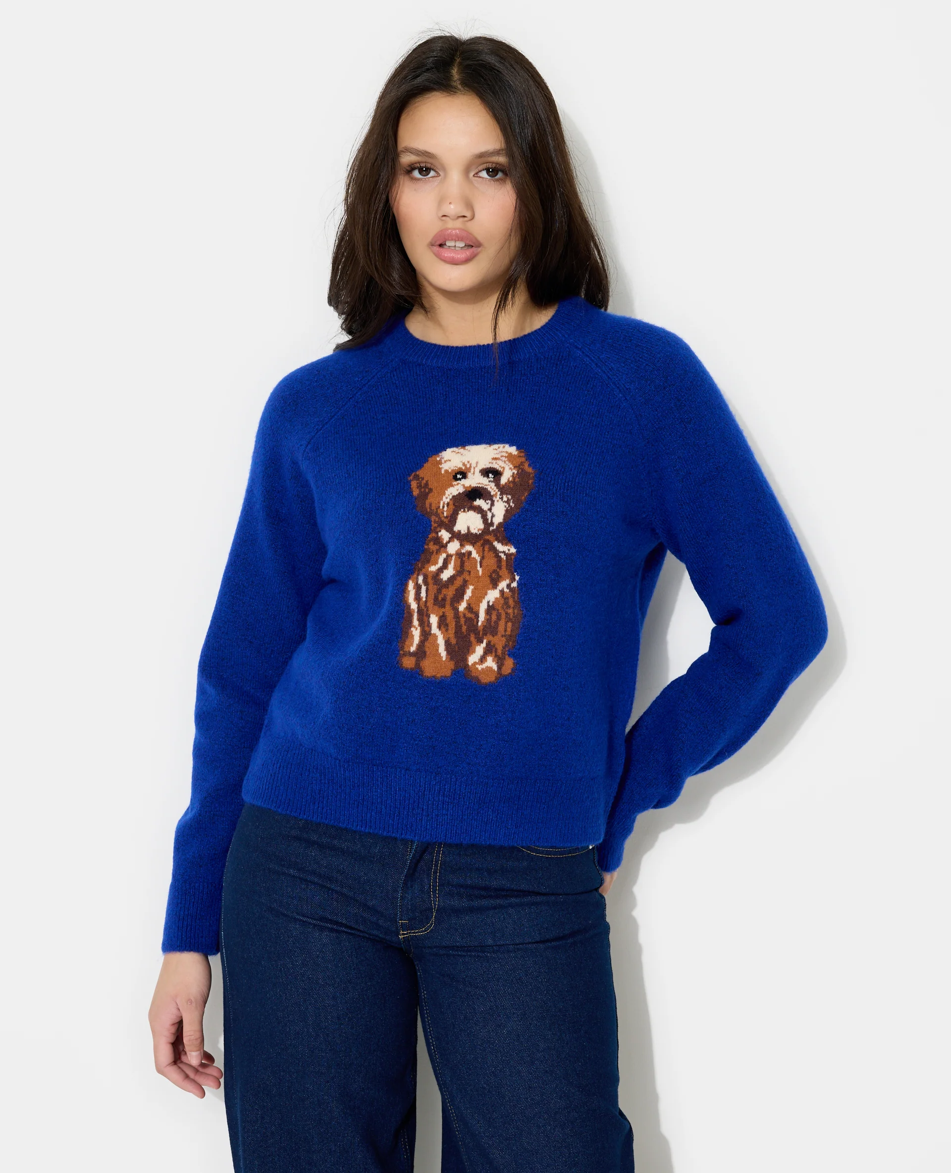 Pull en maille avec chien
